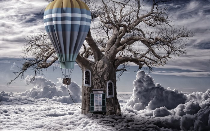 The tree in the clouds